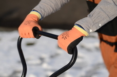 ショーワグローブ株式会社のプレスリリース画像1