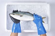 ショーワグローブ株式会社のプレスリリース画像1