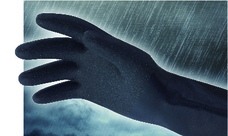 ショーワグローブ株式会社のプレスリリース画像1