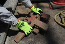 ショーワグローブ株式会社のプレスリリース画像2