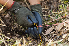 ショーワグローブ株式会社のプレスリリース画像4