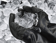 ショーワグローブ株式会社のプレスリリース画像3