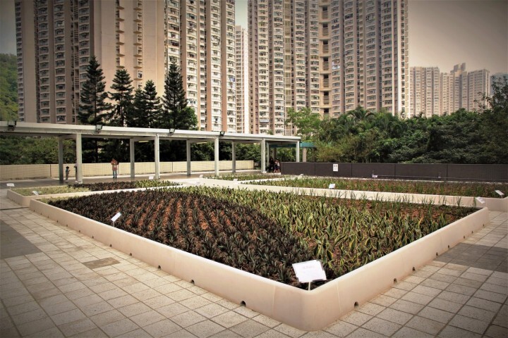 川田工業株式会社のプレスリリース画像6