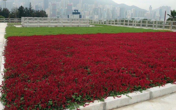 川田工業株式会社のプレスリリース画像7