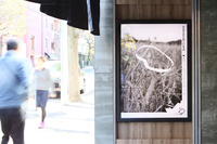 Uche(ゆっち)のプレスリリース画像9