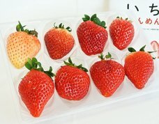 株式会社食文化のプレスリリース3
