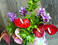 株式会社食文化のプレスリリース画像1