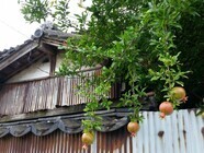 一般社団法人空き家管理士協会のプレスリリース画像4