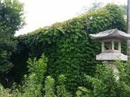 一般社団法人空き家管理士協会のプレスリリース画像3