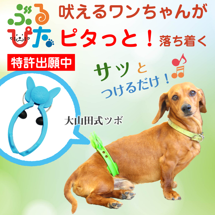 吠えるワンちゃんがピタッと落ち着く 犬のマウンティング行動から発見されたツボを刺激して興奮を抑えるグッズ ぶるぴた オンラインでの販売を9月1日に開始 株式会社 前田家のプレスリリース 吠えるワンちゃんがピタッと落ち着く 犬のマウンティング行動から発見されたツボを刺激して興奮を抑えるグッズ ぶるぴた オンラインでの販売を9月1日に開始 株式会社 前田家のプレスリリース