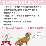 吠えるワンちゃんがピタッと落ち着く 犬のマウンティング行動から発見されたツボを刺激して興奮を抑えるグッズ ぶるぴた オンラインでの販売を9月1日に開始 株式会社 前田家のプレスリリース