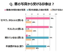 資生堂薬品株式会社のプレスリリース画像7