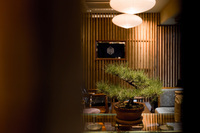 株式会社Sfida Fabbricaのプレスリリース画像2