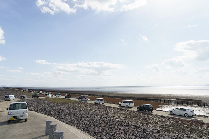 株式会社ハレノヒのプレスリリース画像10