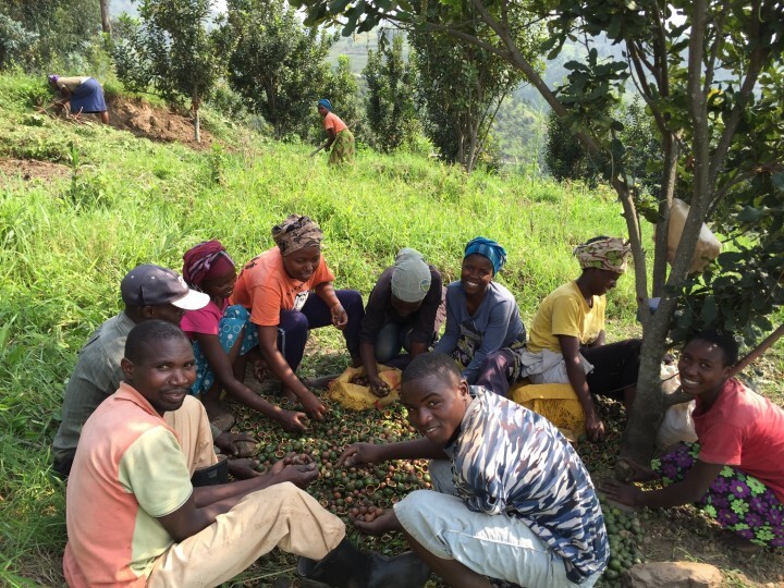 ジュエリーナッツ・カンパニー株式会社のプレスリリース画像1