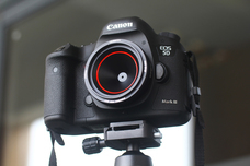 合同会社ブルーフォレスト貿易のプレスリリース画像7