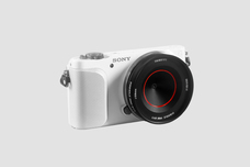 合同会社ブルーフォレスト貿易のプレスリリース画像6