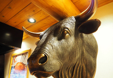 株式会社B級グルメ研究所のプレスリリース画像3