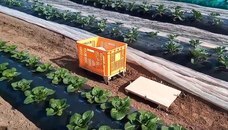 株式会社CuboRexのプレスリリース画像1