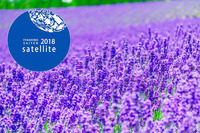 日本アロマコーディネーター協会のプレスリリース画像1