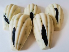 東亜大学のプレスリリース画像1