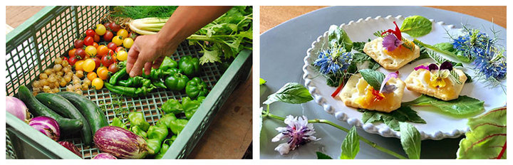 株式会社ココロマチのプレスリリース画像8