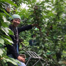 株式会社ココロマチのプレスリリース画像2