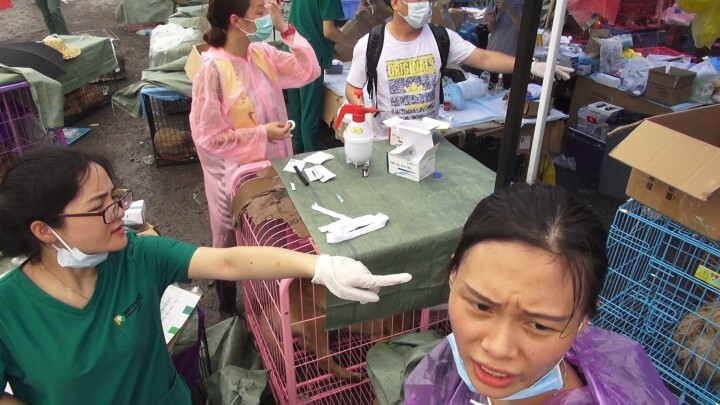 合同会社adg-ethicsのプレスリリース画像2