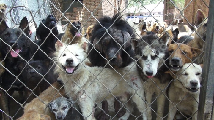 合同会社adg-ethicsのプレスリリース画像7