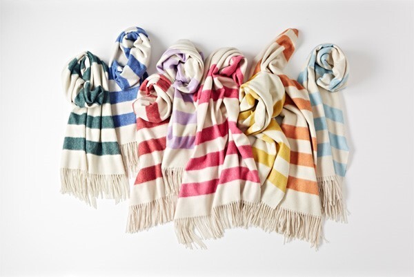 株式会社アイネックスのプレスリリース画像2