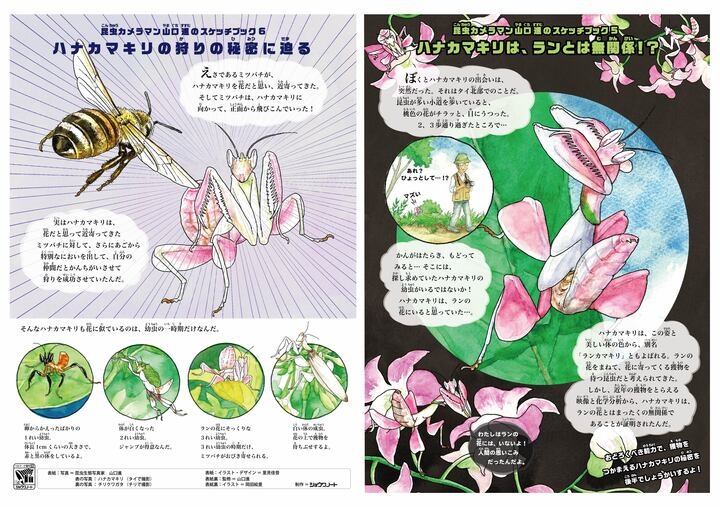 ジャポニカ学習帳 昆虫復活 ショウワノート株式会社のプレスリリース ジャポニカ学習帳 昆虫復活 ショウワノート株式会社のプレスリリース