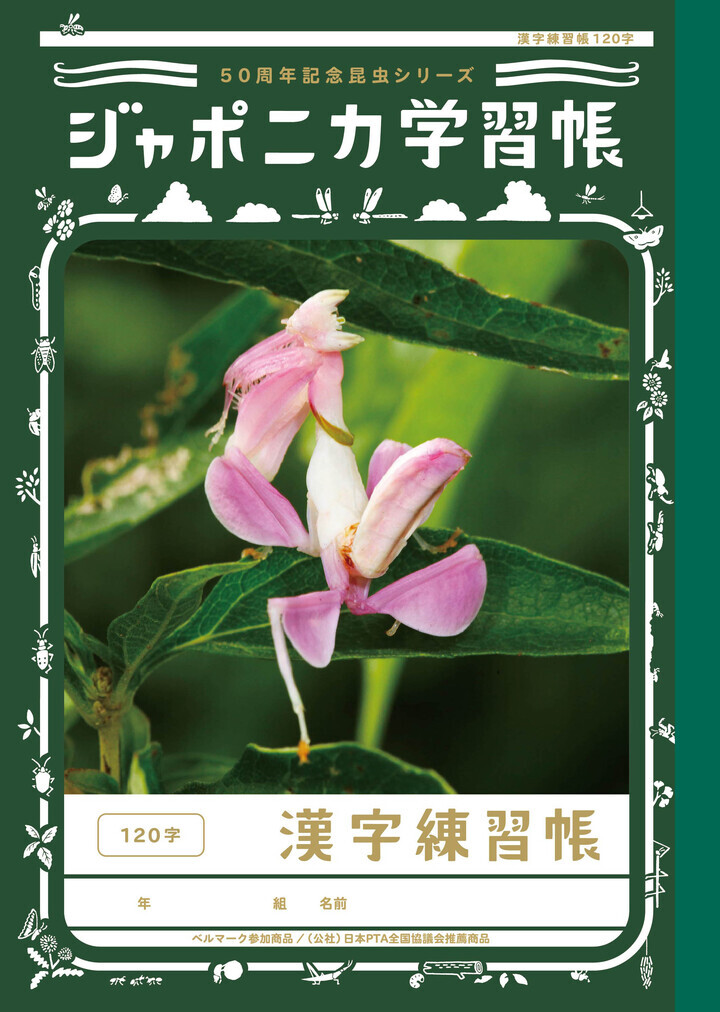 ジャポニカ学習帳 かんじれんしゅう 4冊セット 50字 84字 ノート 漢字 漢字練習帳 練習 売り込み 漢字 ジャポニカ学習帳 かんじれんしゅう 4冊セット 50字 84字 ノート 漢字 漢字練習帳 練習 売り込み 漢字