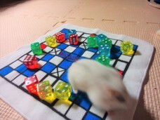 NPLのプレスリリース