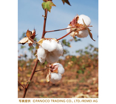 株式会社山櫻のプレスリリース画像1