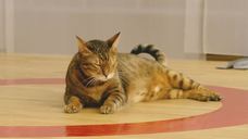 西部ガス株式会社のプレスリリース画像8