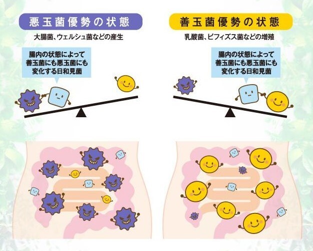 MYYUKI株式会社のプレスリリース画像3