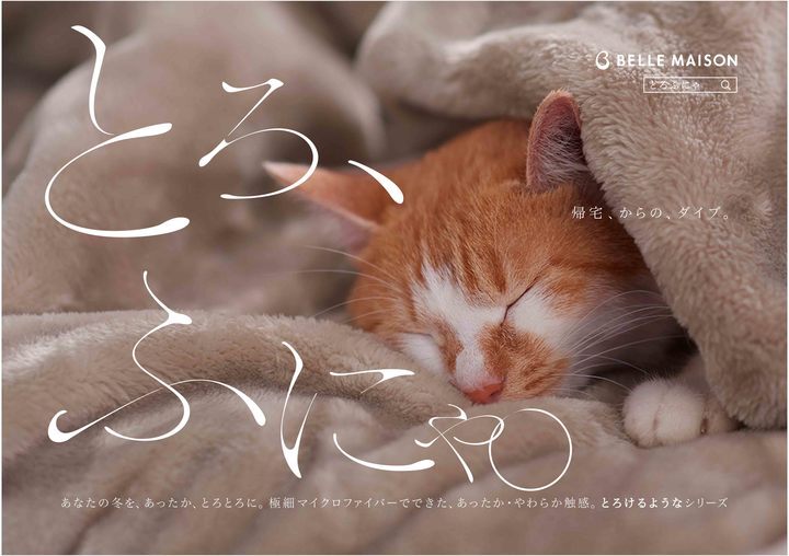 株式会社千趣会のプレスリリース画像2