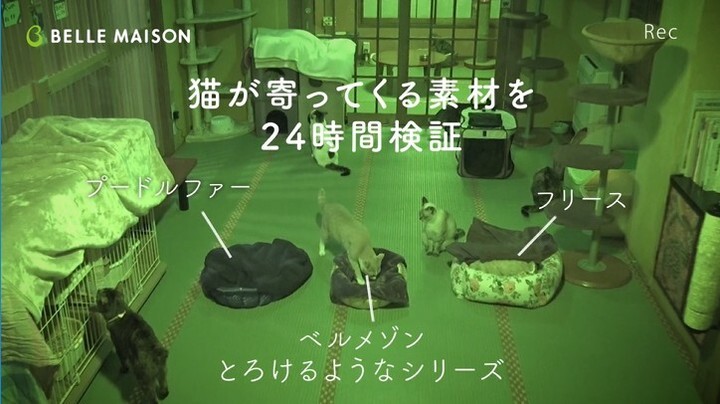 株式会社千趣会のプレスリリース画像7