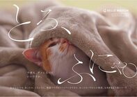 株式会社千趣会のプレスリリース