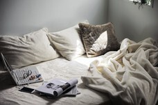 株式会社千趣会のプレスリリース画像2