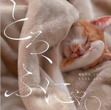 株式会社千趣会のプレスリリース