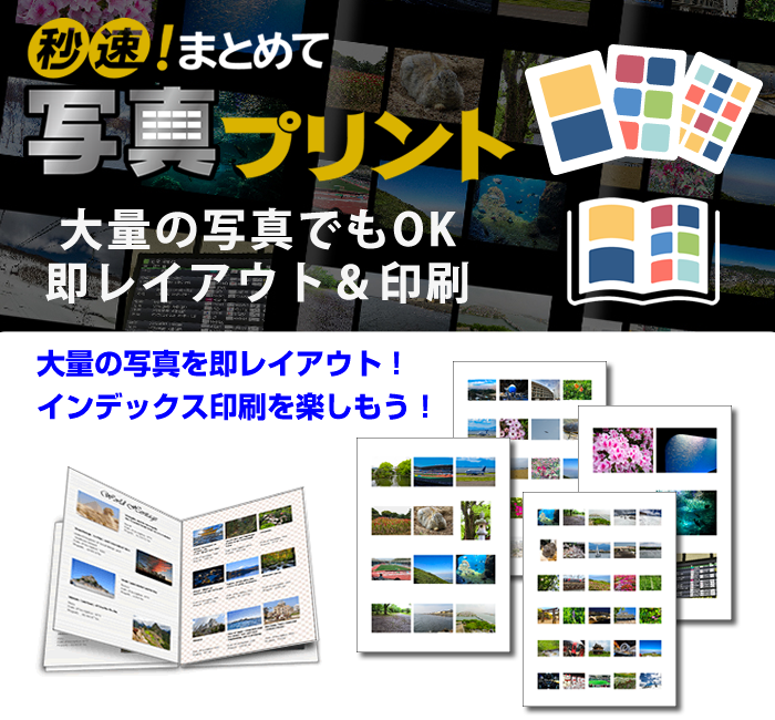 メディアナビ 家庭利用から業務利用まで広く使える写真インデックスプリント対応ソフトを新発売 株式会社メディアナビのプレスリリース メディアナビ 家庭利用から業務利用まで広く使える写真インデックスプリント対応ソフトを新発売 株式会社メディアナビのプレスリリース