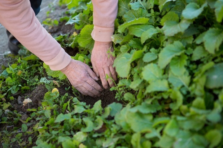 株式会社ナカヤマ　ハッピーナチュラルのプレスリリース画像1