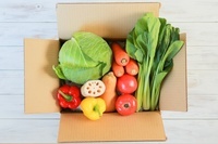 株式会社ナカヤマ　ハッピーナチュラルのプレスリリース画像7