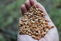 株式会社ナカヤマ　ハッピーナチュラルのプレスリリース画像6