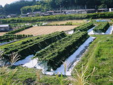 株式会社ナカヤマ　ハッピーナチュラルのプレスリリース画像2