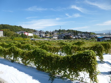 株式会社ナカヤマ　ハッピーナチュラルのプレスリリース画像1