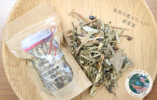 株式会社ナカヤマ　ハッピーナチュラルのプレスリリース画像4