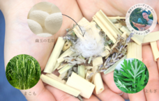 株式会社ナカヤマ　ハッピーナチュラルのプレスリリース画像1