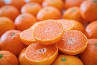 農業生産法人　株式会社ミヤモトオレンジガーデンのプレスリリース画像2